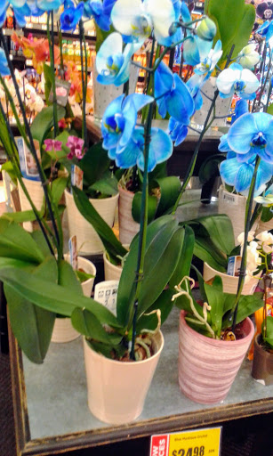 Grocery Store «H-E-B Grocery», reviews and photos, 200 W Hopkins St, San Marcos, TX 78666, USA