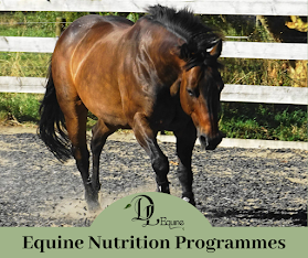 DL Equine Nutrition