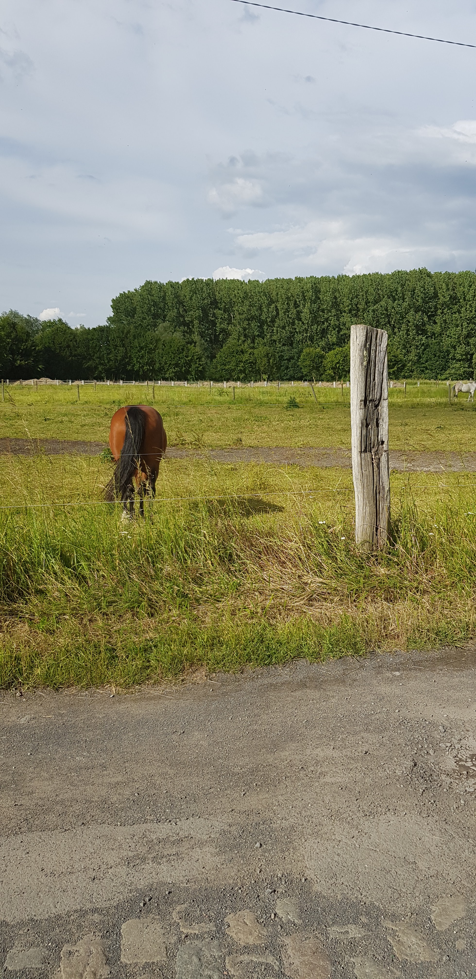 Photo n° 2 de l'avis de Fabienne.o fait le 27/06/2019 à 06:41