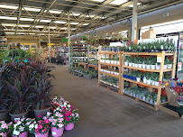 The Home Depot - Photo 6 - Car repair in Lincoln, CA, Roseville