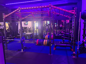 Flex Fitness New Plymouth
