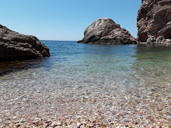 Φωτογραφία του Παραλία Βασίλης με μια ευρύχωρη ακτογραμμή