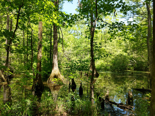 Park «North Charleston Wannamaker County Park», reviews and photos, 8888 University Blvd, North Charleston, SC 29406, USA