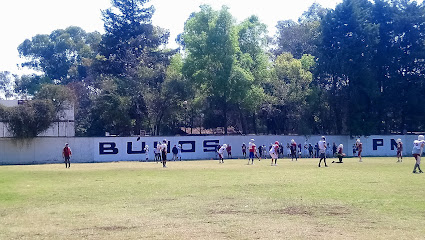 Campo Carillón - Buhos IPN