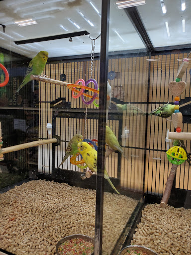 Pet Supply Store «PetSmart», reviews and photos, 45050 Northpointe Blvd, Utica, MI 48315, USA
