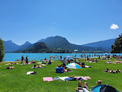 Plage Municipale de Talloires'in fotoğrafı düz bir kıyı şeridi ile birlikte