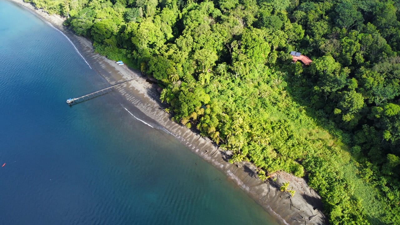 Playa Nicuesa'in fotoğrafı kısmen otel alanı