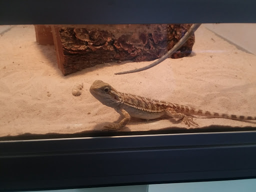 Pet Supply Store «Valley Feed», reviews and photos, 1486 Freedom Blvd, Watsonville, CA 95076, USA