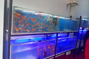 Rithara Aquarium image