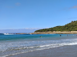 Kennet River Beach'in fotoğrafı dağlarla çevrili