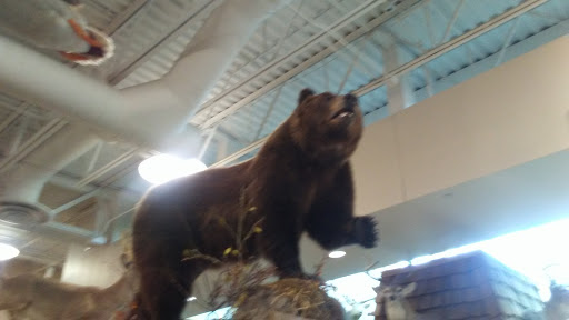 Sporting Goods Store «SCHEELS», reviews and photos, 1850 Adams St, Mankato, MN 56001, USA