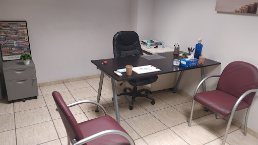 Carlota Cerdà García Psicóloga en Algemesí, Valencia