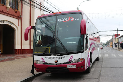 Buses Hernández