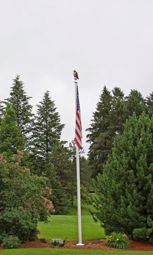 Public Golf Course «Juniper Hill Golf Course», reviews and photos, 202 Brigham St, Northborough, MA 01532, USA