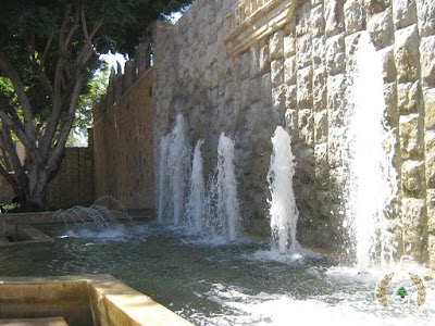 Photos of Park painter Omar Abu Risha