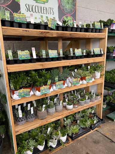 Home Improvement Store «Tractor Supply Co.», reviews and photos, 4267 13th St, St Cloud, FL 34769, USA