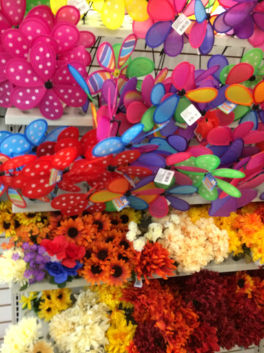 Dollar Store «Dollar Tree», reviews and photos, 4919 Flat Shoals Pkwy #104, Decatur, GA 30034, USA
