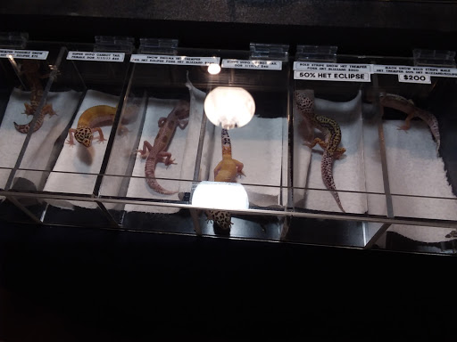 Reptile Store «Cleveland Reptile Show», reviews and photos, 17250 Hummel Rd, Brook Park, OH 44142, USA