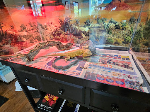 Explore boygenius tattoo ideas, creative tattoo ideas in New Rochelle, available at Lupitas Tattoos