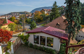 Grădinița Pinocchio - English Kindergarten and After School Brasov