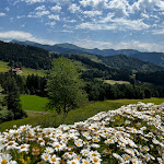 Photo n°7 de l'avis de Steffen.. fait le 16/06/2022 à 18:46 sur le  Alpe Mohr à Oberstaufen