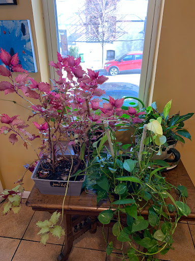 Coffee Shop «Koba Cafe», reviews and photos, 644 E Fort Ave, Baltimore, MD 21230, USA