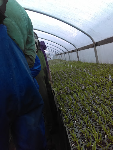 Park «Gamebird Park», reviews and photos, 1500 Mallard Ave, Springfield, OR 97477, USA