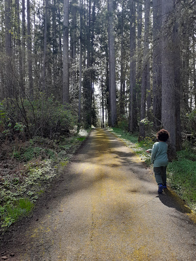 Natural History Museum «Rice Northwest Museum of Rocks & Minerals», reviews and photos, 26385 NW Groveland Dr, Hillsboro, OR 97124, USA