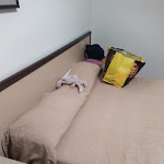 Photo n°15 de l'avis de Linux.r fait le 02/01/2024 à 20:50 sur le  Motel Ristorante Boston à Silvi