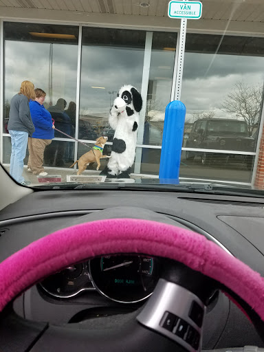 Pet Supply Store «PetSmart», reviews and photos, 5722 S Transit Rd, Lockport, NY 14094, USA