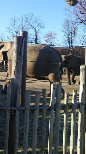 State Park «Dighton Rock State Park», reviews and photos, Bayview Ave, Berkley, MA 02779, USA