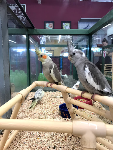 Pet Store «Petland Plano», reviews and photos, 1301 Custer Rd #405, Plano, TX 75075, USA