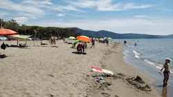 Photo de Spiaggia di Marina di Alberese situé dans une zone naturelle