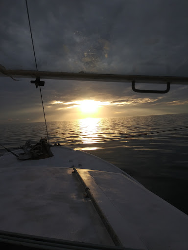 Grocery Store «Winn-Dixie», reviews and photos, 14134 US-19 #710, Hudson, FL 34667, USA