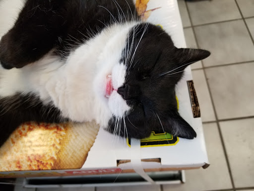 Pet Store «Slither & Swim», reviews and photos, 38 Saw Mill Rd # 16, West Haven, CT 06516, USA