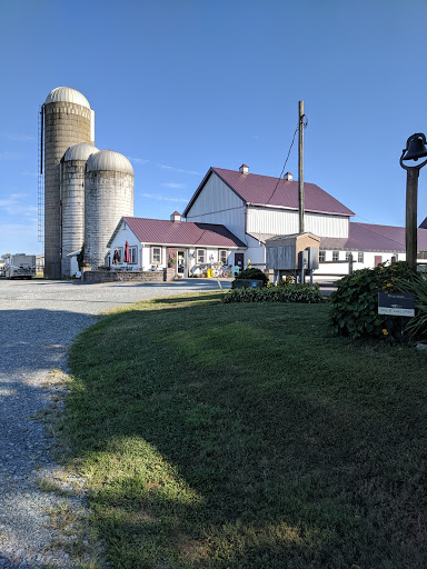 Vineyard «Crow Farm», reviews and photos, 12441 Vansant Corner Rd, Kennedyville, MD 21645, USA