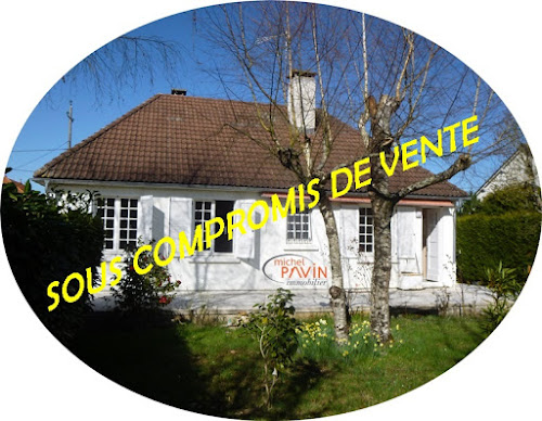 Agence immobilière michel PAVIN-IMMOBILIER La Guerche-sur-l'Aubois