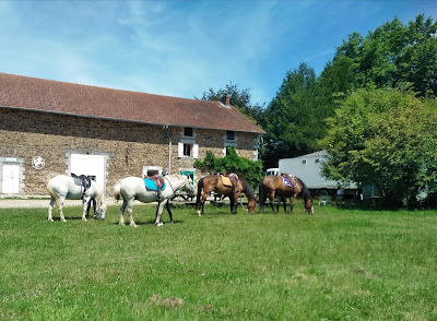 Eurocentaure à Le Châtenet-en-Dognon