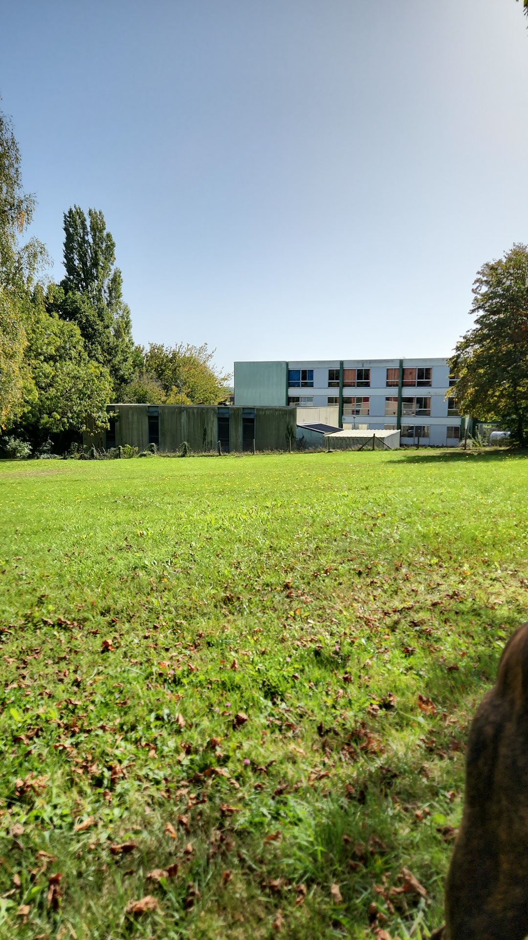 Photo n° 1 de l'avis de julien.o fait le 07/10/2023 à 11:38
