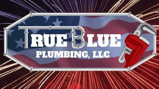 Photo of True Blue Plumbing LLC