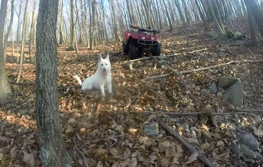 Motorcycle Dealer «Ridersville Cycle», reviews and photos, 75 Good Times Dr, Berkeley Springs, WV 25411, USA