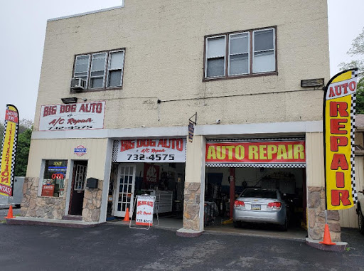 Big Dog Auto & A/C Repair LLC-Auto Repair Inspections