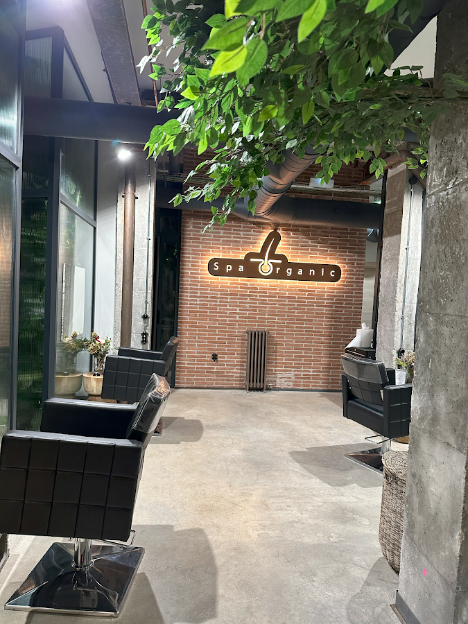 Spa organic salud capilar