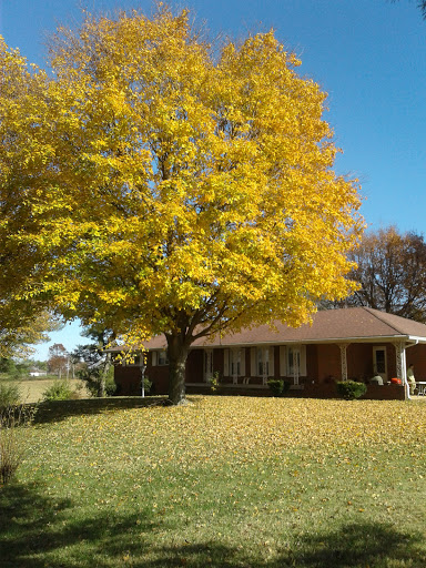 Supermarket «Walmart Neighborhood Market», reviews and photos, 3106 Canton St, Hopkinsville, KY 42240, USA