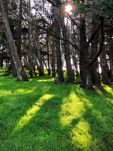 Public Golf Course «Gleneagles Golf Course at McLaren Park», reviews and photos, 2100 Sunnydale Ave, San Francisco, CA 94134, USA