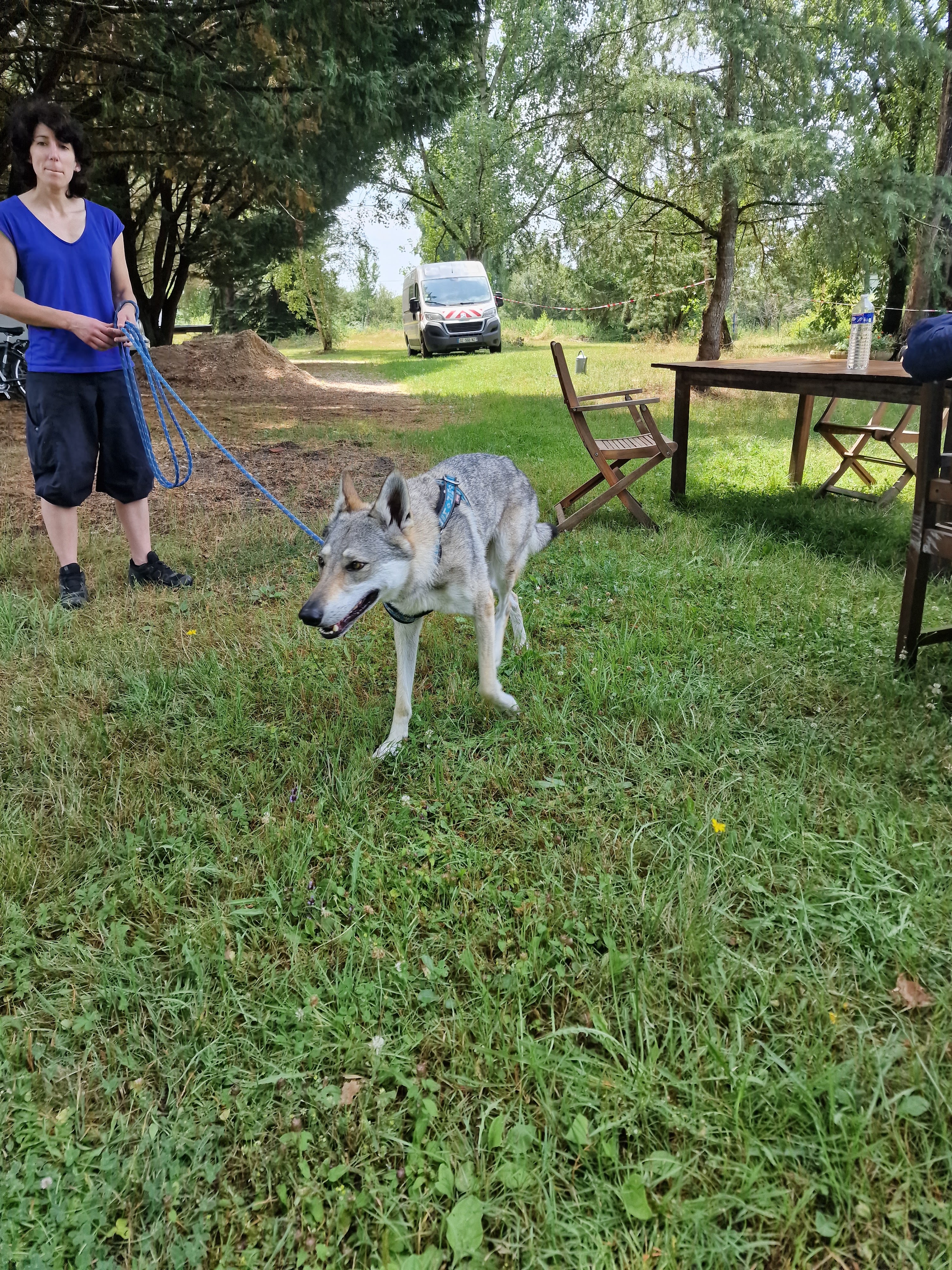Photo n° 1 de l'avis de Charles.e fait le 16/07/2023 à 17:56