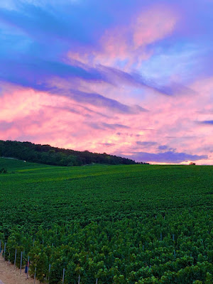 Dravigny Eric à Écueil
