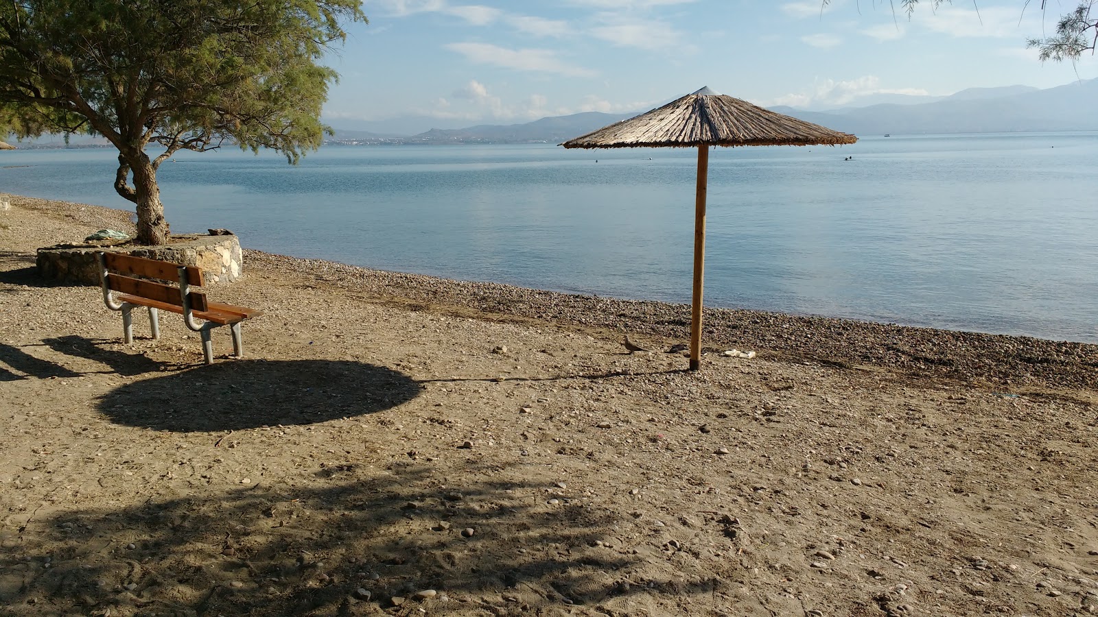 Foto de Plaka dilesi beach com agua verde superfície