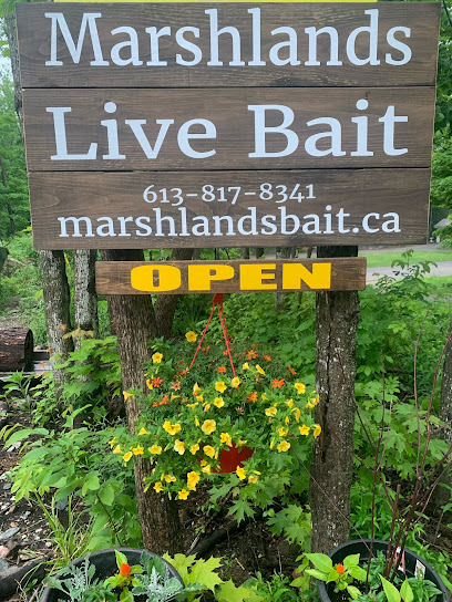 Marshlands Live Bait