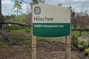 Hilochee Wildlife Management Area image